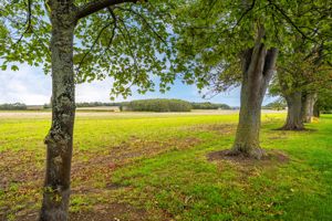 Countryside views- click for photo gallery